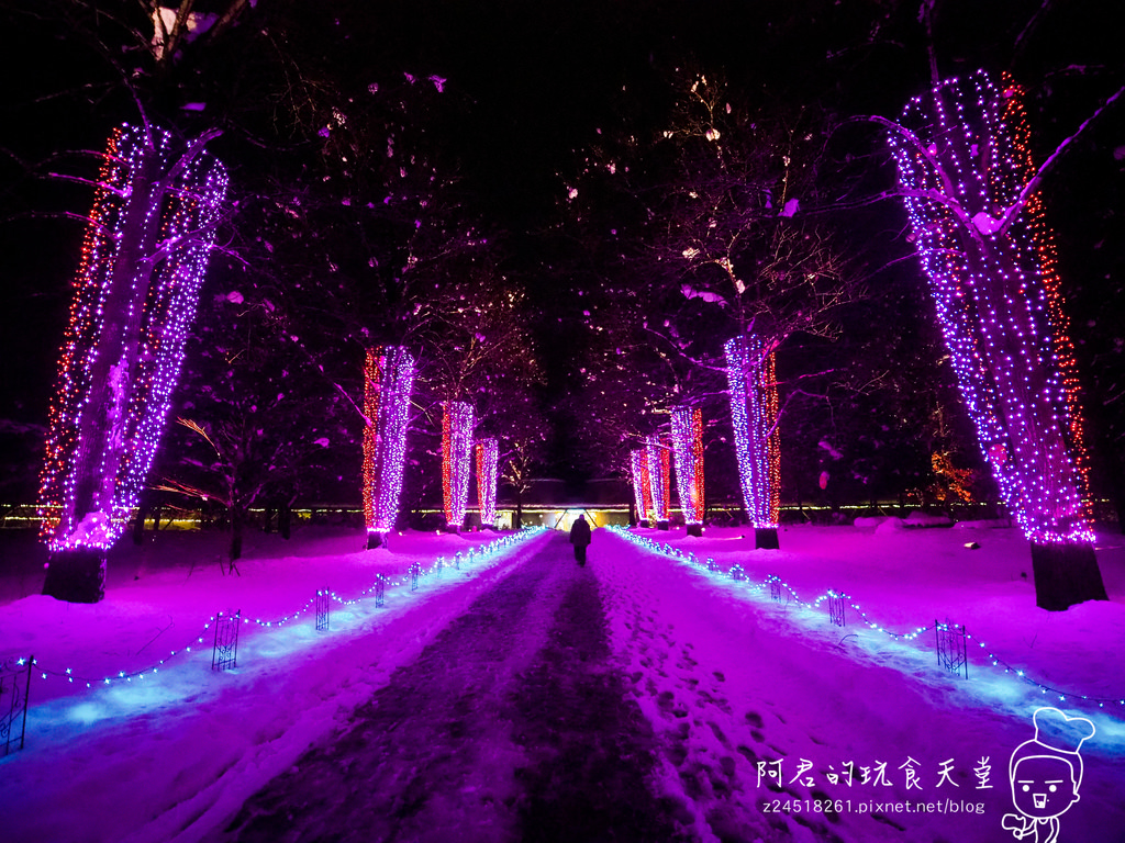 【日本】島根、鳥取十天自由行～來去日本過聖誕&跨年(8)｜鳥取花迴廊 冬季140萬顆LED、花與雪的夢幻奇境